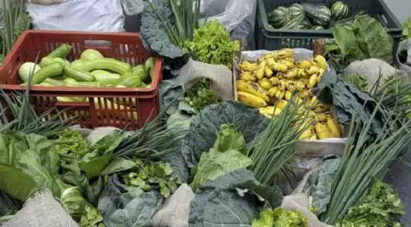 alimentacao-agricultura-familiar-e1586697384495
