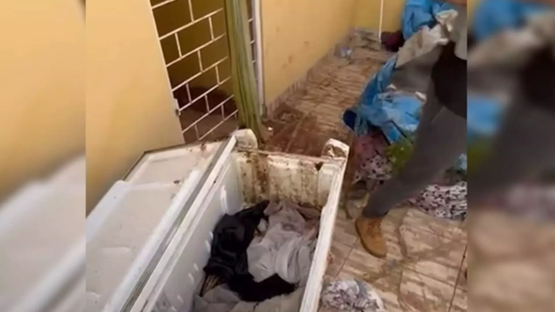 filho-mae-freezer