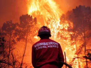 arquivos_noticias_2016_ago_portugal_incendio