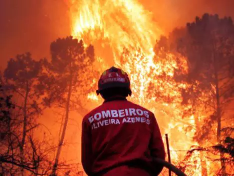 arquivos_noticias_2016_ago_portugal_incendio