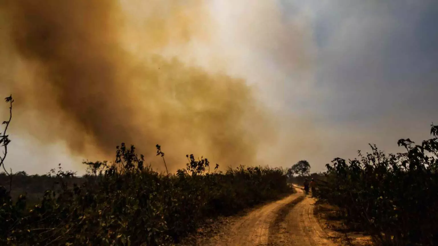incendio-Pantanal-Foto-Henrique-Arakaki-Midiamax-1-1536x864-1