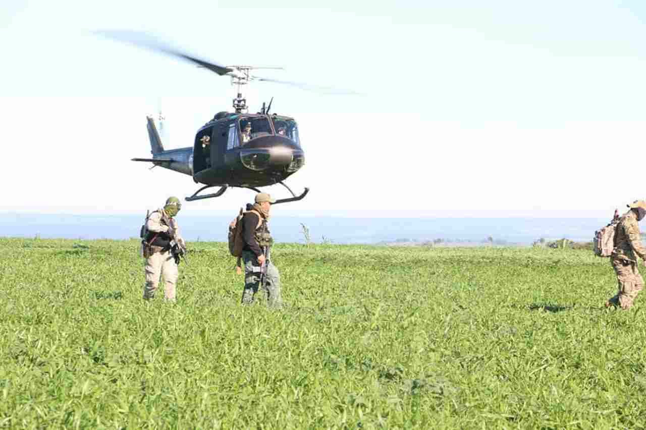 Fazendas-narcotrafico-3