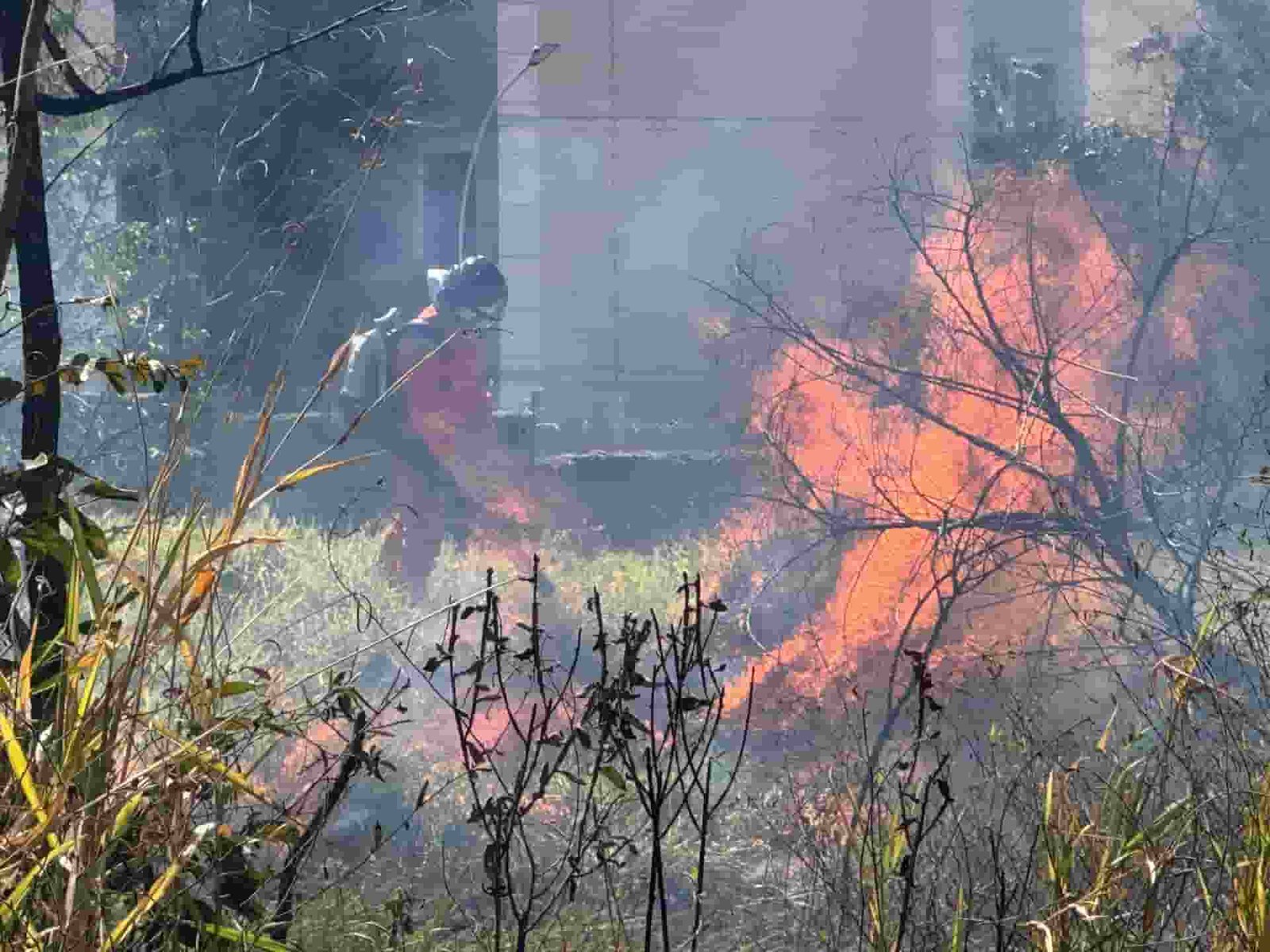 Incendio-em-vegetacao-Henrique-Arakaki-8