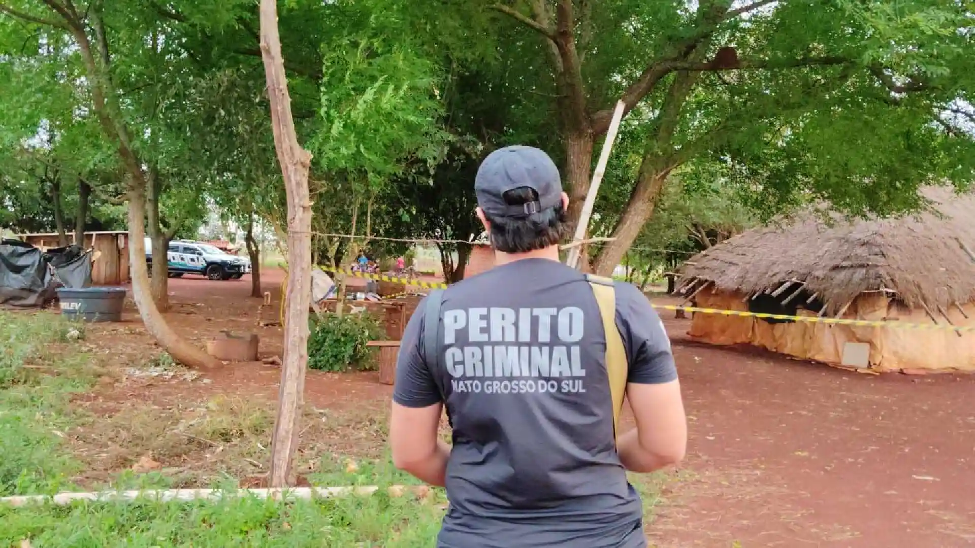 Novo-Projeto-1