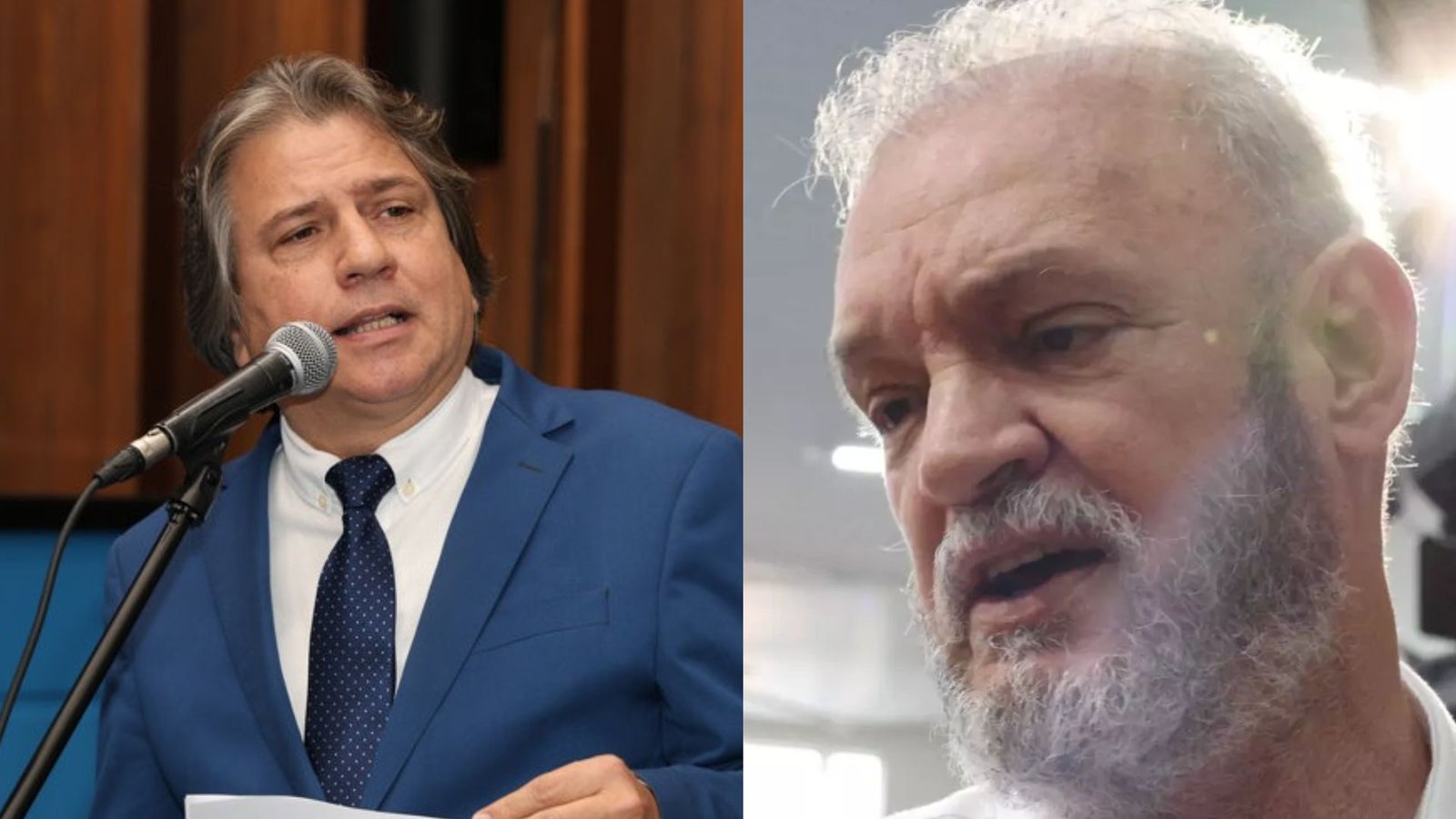 caravina-gerado.jpeg