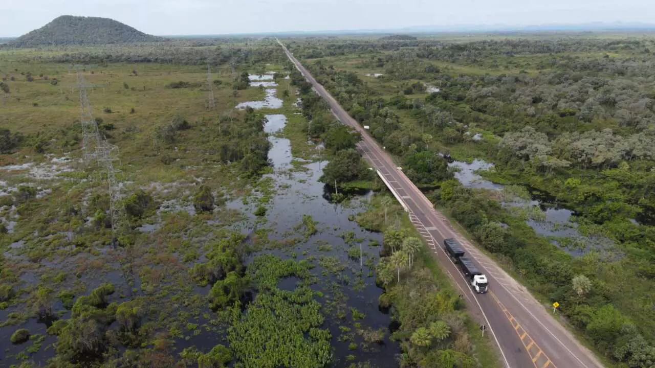 pantanal_estrada_parque_corumba_henrique_arakaki