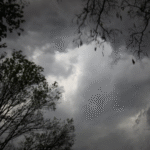 Domingo com chuva em Maracaju