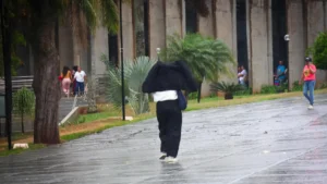 Novo-Projeto-23-2