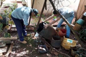 ms-ultrapassa-83-mil-casos-de-dengue-e-registra-18-mortes-vacinacao-chega-a-200-mil-doses-aplicadas-17640160012876-thumb