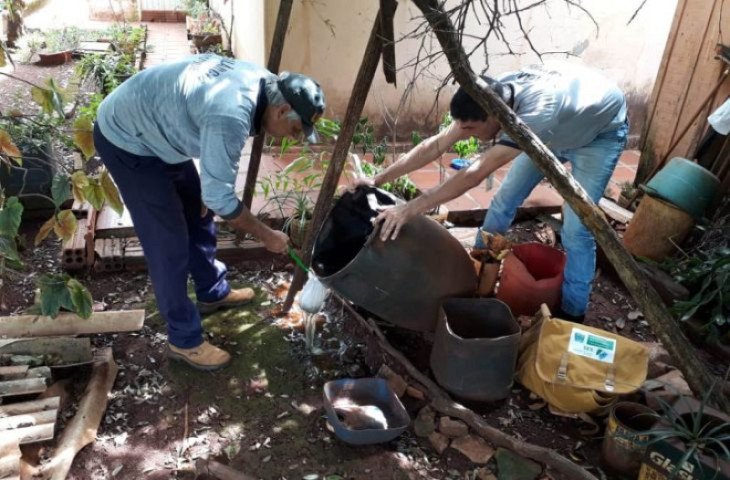 ms-ultrapassa-83-mil-casos-de-dengue-e-registra-18-mortes-vacinacao-chega-a-200-mil-doses-aplicadas-17640160012876-thumb