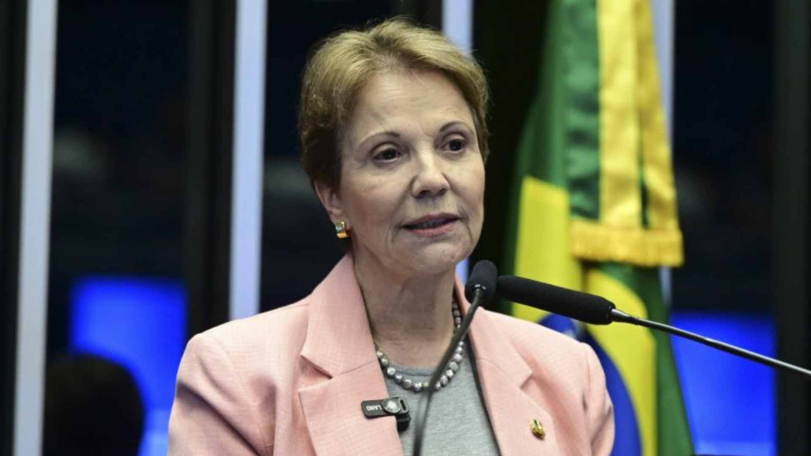 tereza-cristina