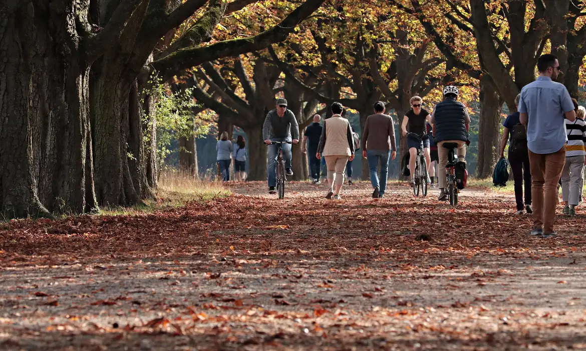 autumn-3731094_1920
