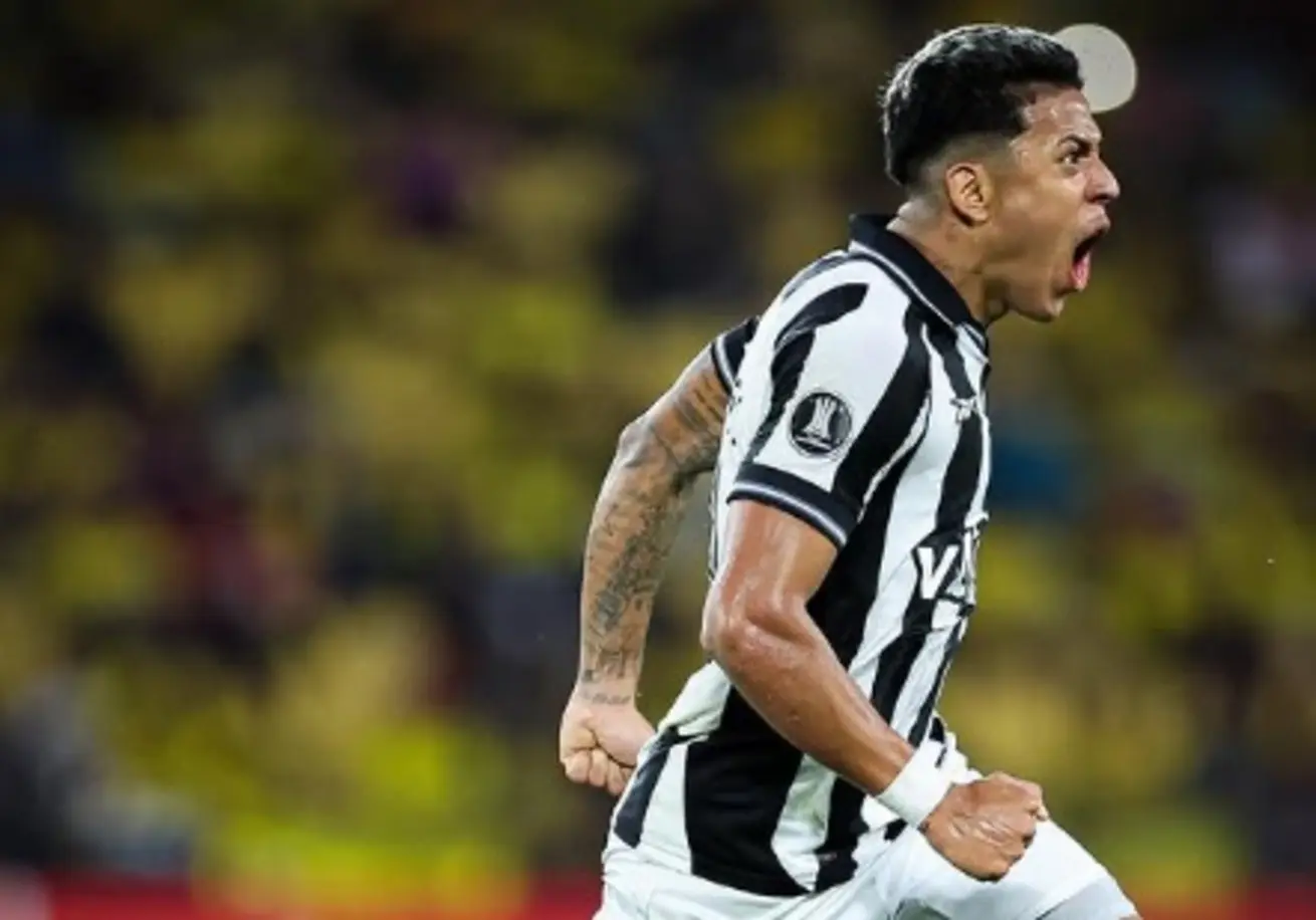 botafogo-6.jpg