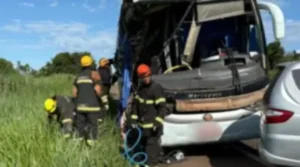 onibus-3.jpg