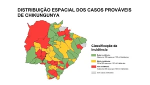 Novo-Projeto-418