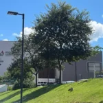 Explosão ao acender churrasqueira com álcool mata menino de 3 anos