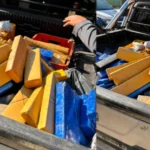 Força Tática apreende 165 kg de drogas e prende 5 após confusão em Três Lagoas