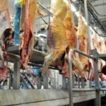 Exportações da indústria de MS batem recorde histórico e chegam a US$ 3,83 bilhões no semestre