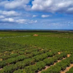CNA: orienta produtores sobre a entrega da DITR 2026