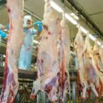 Agro de MS avalia que tarifa dos EUA terá impacto reduzido sobre exportações