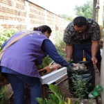 Sidrolândia lidera o avanço recente da chikungunya em Mato Grosso do Sul.