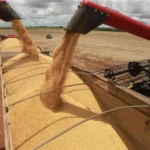 arquivos_noticias_2016_abr_exportacao.jpg