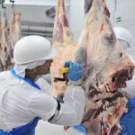 Indústria frigorífica dobra empregos e multiplica por 12 receita das exportações.