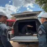 Após acidente fatal, motorista bêbado é preso por homicídio em Campo Grande