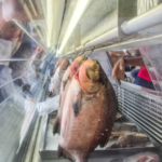 Estado abre 15 dias de campanha de preços para turbinar venda de pescado