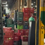 Número de sindicalizados cai pela metade em MS enquanto cooperativas voltam a crescer