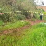 Corpo carbonizado e com membros decepados é encontrado em matagal