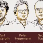 Trio leva o Nobel de Medicina por descobertas sobre canais iônicos