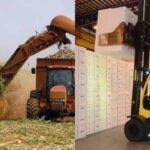 Etanol em alta e celulose em baixa expõem contrastes da indústria de MS