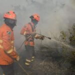 Incêndios atingem 124 mil hectares do Pantanal em Mato Grosso do Sul